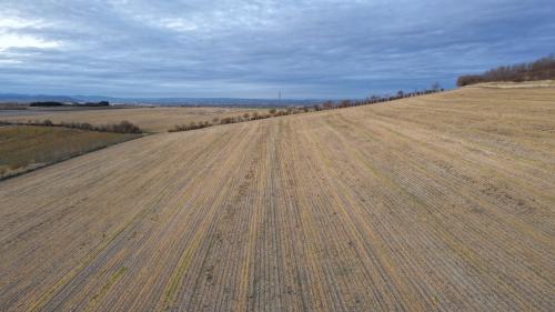 DJI_4272.JPG